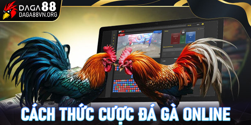 Các hình thức cược trong đá gà online tại Daga88