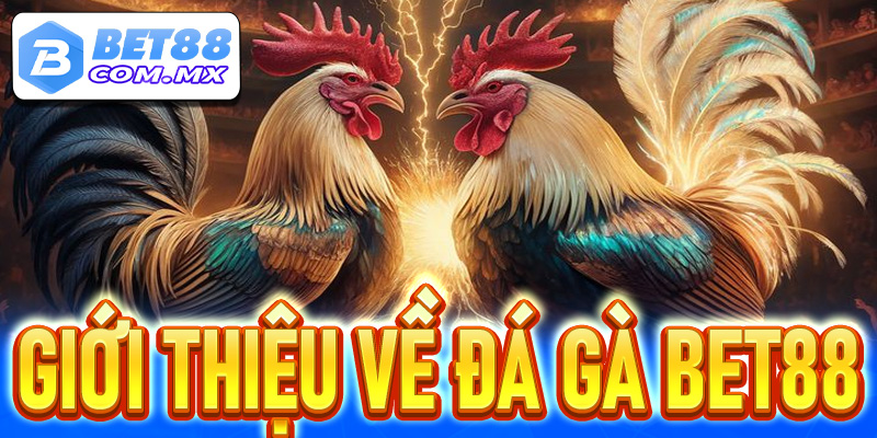 Giới thiệu về Đá gà Bet88