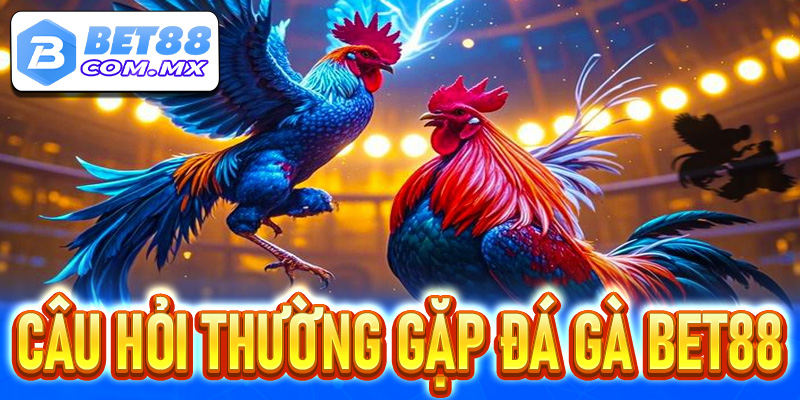 Câu hỏi thường gặp