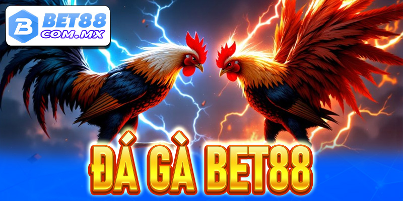 Đá gà Bet88 - Đấu trường cá cược chọi gà hấp dẫn nhất 2025